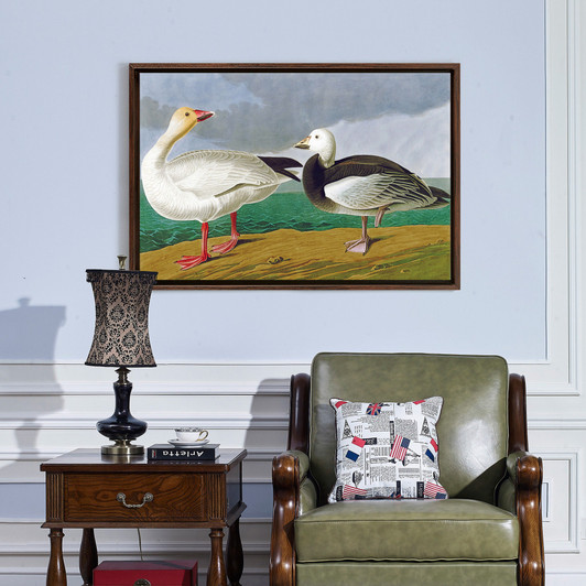 John James Audubon, Snow Goose,The Birds of America,canvas print,canvas art,canvas wall art,large wall art,framed wall art,p1936