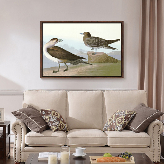 John James Audubon, Richardson's Jager,The Birds of America,canvas print,canvas art,canvas wall art,large wall art,framed wall art,p1917