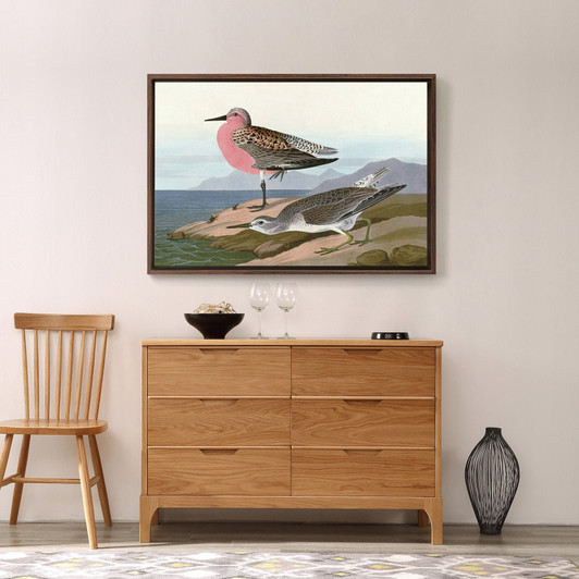 John James Audubon, Red breasted Sandpiper,The Birds of America,canvas print,canvas art,canvas wall art,large wall art,framed wall art,p1911