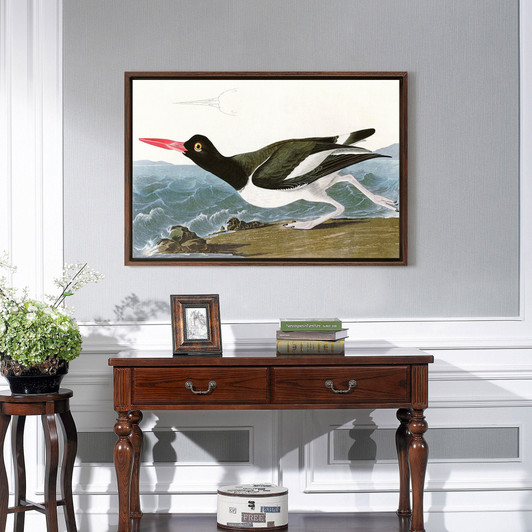 John James Audubon, Pied oyster catcher,The Birds of America,canvas print,canvas art,canvas wall art,large wall art,framed wall art,p1898
