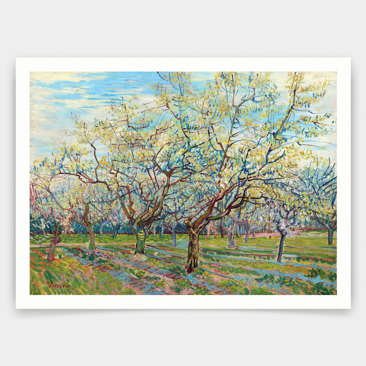 Vincent van Gogh,The White Orchard,art prints,Vintage art,canvas wall art,famous art prints,q1470