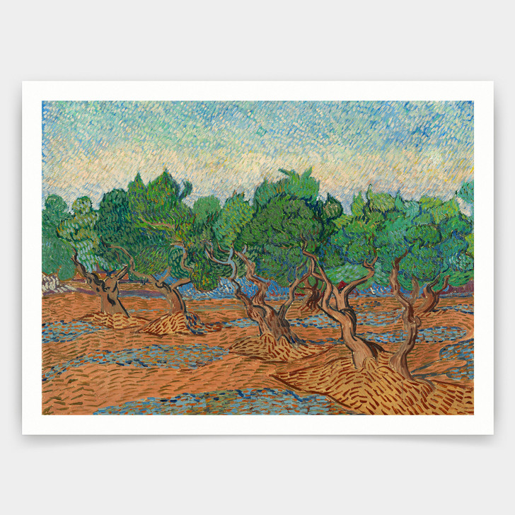 Vincent van Gogh,Olive Grove,art prints,Vintage art,canvas wall art,famous art prints,q1446
