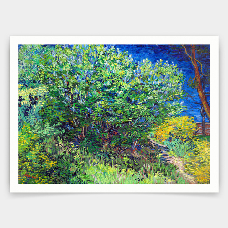 Vincent van Gogh, Lilacs ,art prints,Vintage art,canvas wall art,famous art prints,q1423