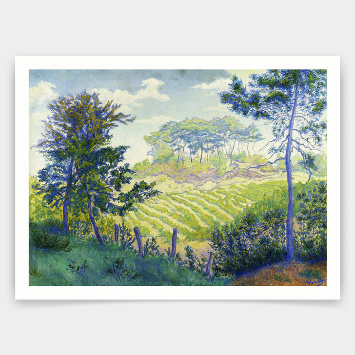 Paul Ranson,Vineyards Under The Pines 1898,art prints,Vintage art,canvas wall art,famous art prints,V4801