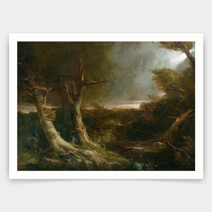 Thomas Cole,Tornado in an American Forest,art prints,Vintage art,canvas wall art,famous art prints,V5026