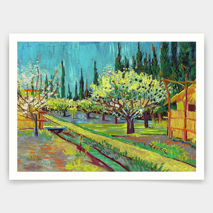 Vincent van Gogh,Orchard Bordered by Cypresses, 1888,art prints,Vintage art,canvas wall art,famous art prints,V5090