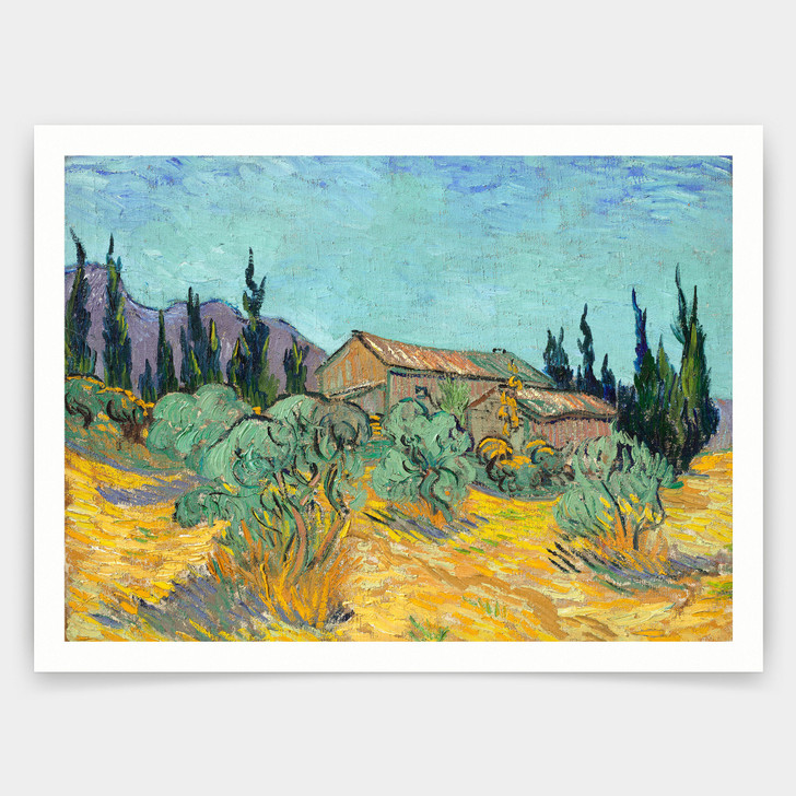 Vincent van Gogh,Wooden huts among olive trees and cypress trees,art prints,Vintage art,canvas wall art,famous art prints,V5118