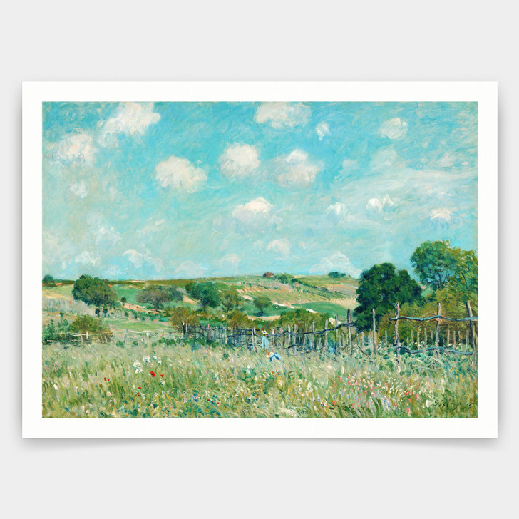 Alfred Sisley,Meadow,art prints,Vintage art,canvas wall art,famous art prints,q745