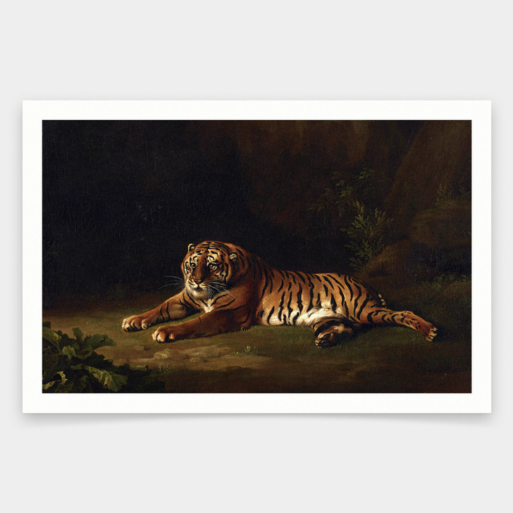 George Stubbs,Tiger,art prints,Vintage art,canvas wall art,famous art prints,V1417