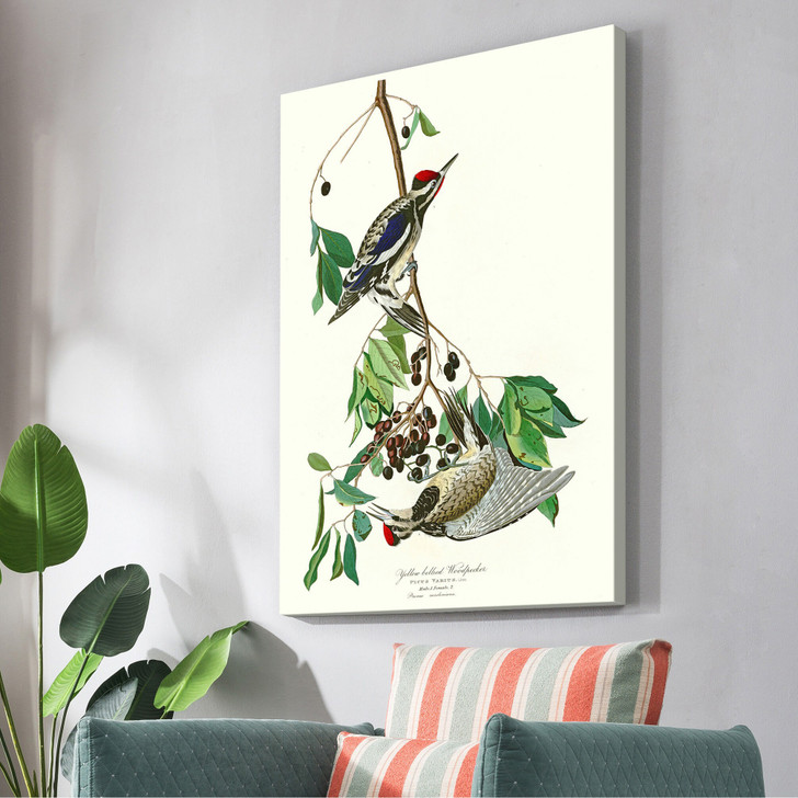 John James Audubon, Yellow Bellied Woodpecker,The Birds Of America,Canvas Print,Canvas Art,Canvas Wall Art,Large Wall Art,Framed Art,P2502