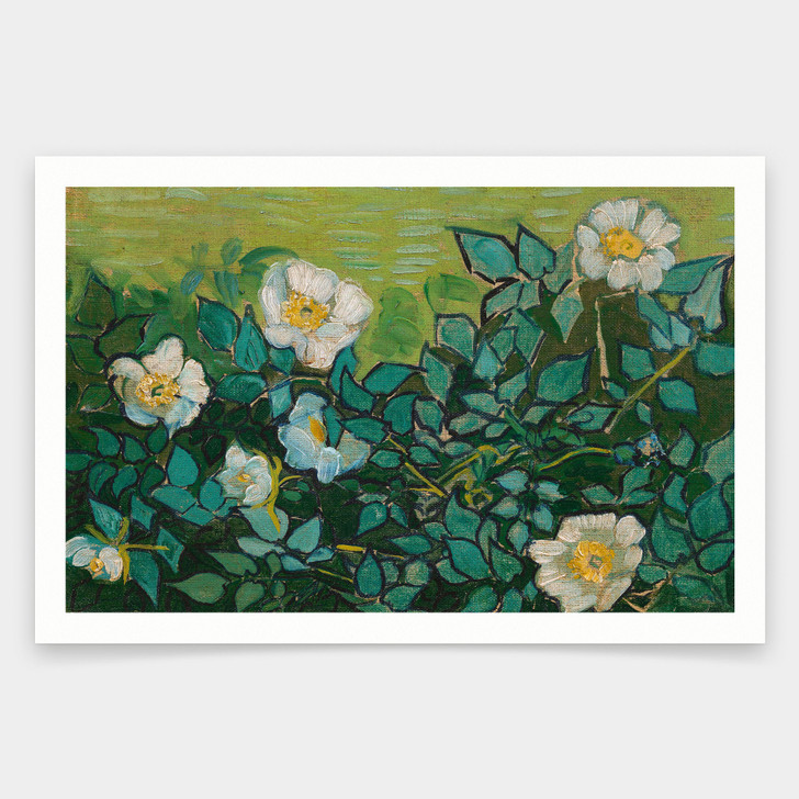 Vincent van Gogh,Wild Roses,art prints,Vintage art,canvas wall art,famous art prints,V2091