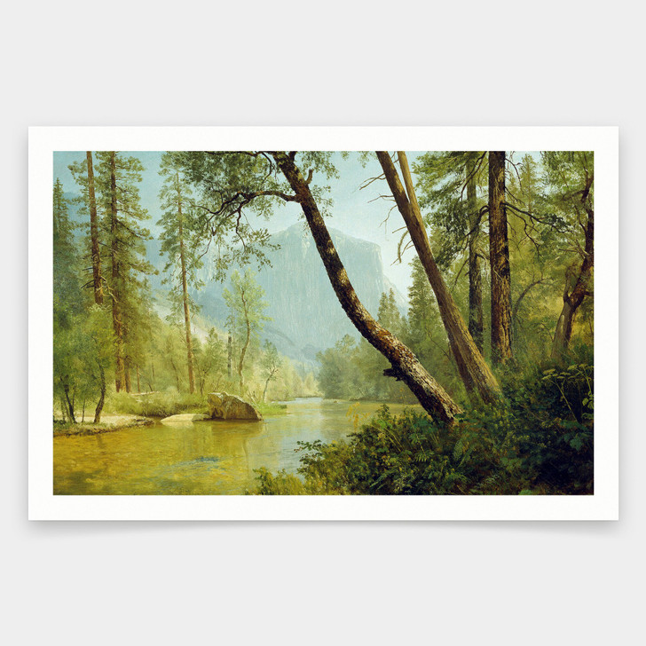 Albert Bierstadt,Sunlit Forest,art prints,Vintage art,canvas wall art,famous art prints,V937