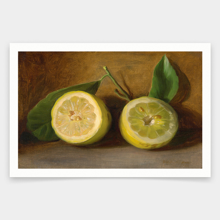 George Henry Hall ,Lemons, 1884,art prints,Vintage art,canvas wall art,famous art prints,q1712