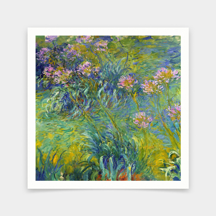 Claude Monet,Agapanthus,art prints,Vintage art,canvas wall art,famous art prints,V7002