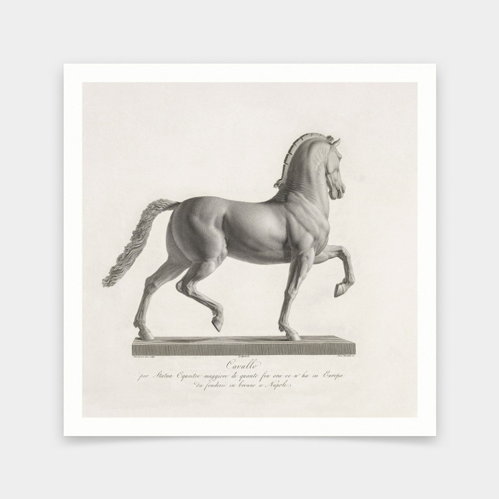 Domenico Marchetti,Statuesque Horse ii,art prints,Vintage art,canvas wall art,famous art prints,V7018