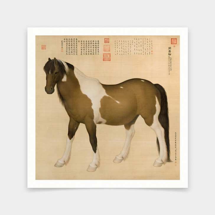 Lang shining,Chinese Horse Art i,Horse Wall Art,art prints,Vintage art,canvas wall art,famous art prints,V7190