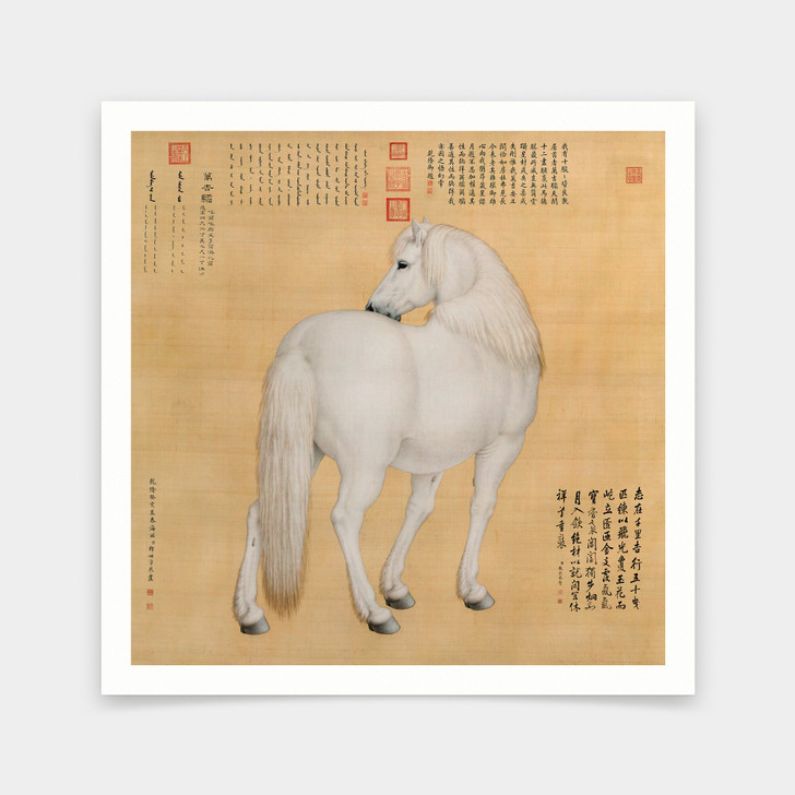 Lang shining,Chinese Horse Art ii,Horse Wall Art,art prints,Vintage art,canvas wall art,famous art prints,V7191