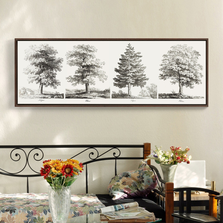 Antique Tree ,oak tree drawing,Narrow Horizontal Wall Art ,large wall art,framed wall art,canvas wall art,M11