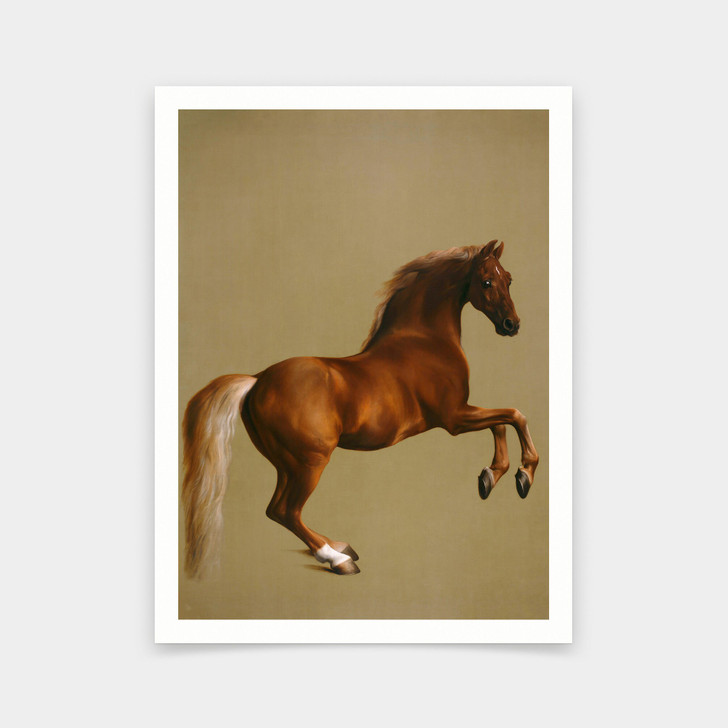 George Stubbs,Whistlejacket,Horse Portrait,Equestrian Wall Art,horse print,art prints,Vintage art,canvas wall art,famous art prints,V5801