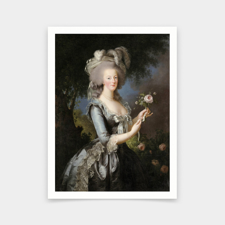 Elisabeth Louise Vigee Lebrun,Marie Antoinette,art prints,Vintage art,canvas wall art,famous art prints,V5601