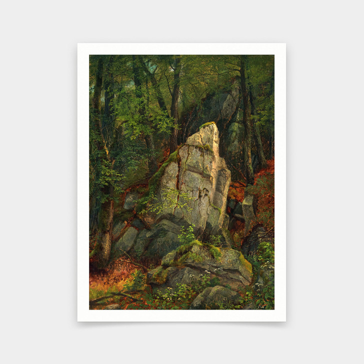 Asher Brown Durand,Study of Rocks in Pearson's Ravine, 1850,art prints,Vintage art,canvas wall art,famous art prints,V5365
