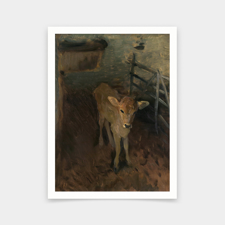 John Singer Sargent,A Jersey Calf,art prints,Vintage art,canvas wall art,famous art prints,V6230