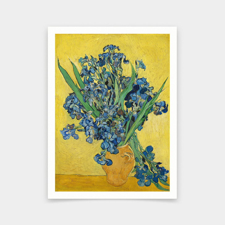 Vincent van Gogh,Irises,art prints,Vintage art,canvas wall art,famous art prints,q679