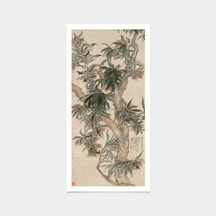 Luo pin,A fruity litchi tree,Chinese Art Prints,japanese print,art prints,Vintage art,canvas wall art,famous art prints,vertical,V7475