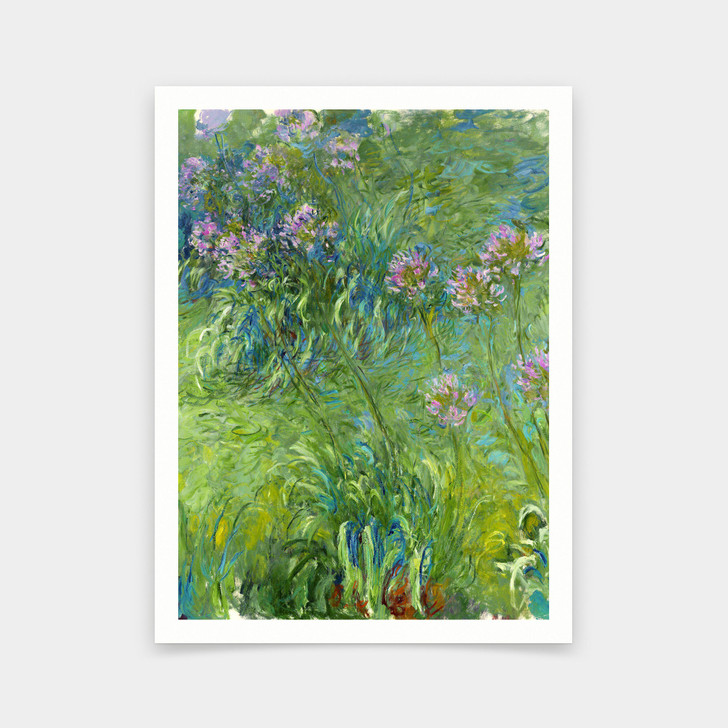 Claude Monet , Agapanthus 1914,art prints,Vintage art,canvas wall art,famous art prints,q406