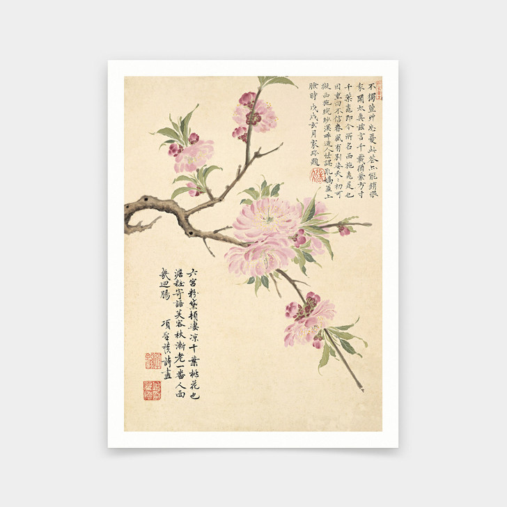 Xiang Shengmo,Peach blossom,Chinese Flower Paintings,art prints,Vintage art,canvas wall art,famous art prints,V6917
