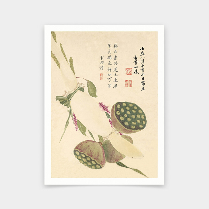 Xiang Shengmo,seedpod of the lotus,Chinese Flower Paintings,art prints,Vintage art,canvas wall art,famous art prints,V6920