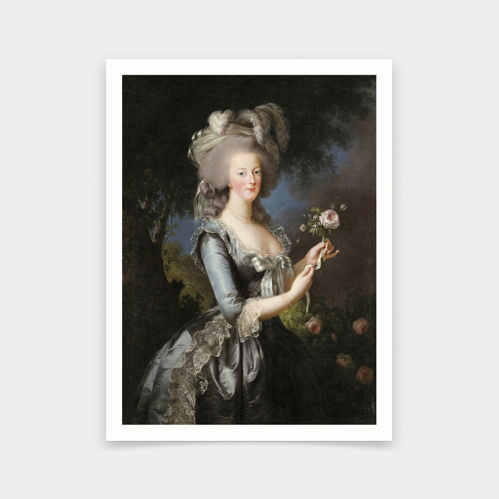 Elisabeth Vigee Le Brun,Marie Antoinette,Queen of France,art prints,Vintage art,canvas wall art,famous art prints,2V184