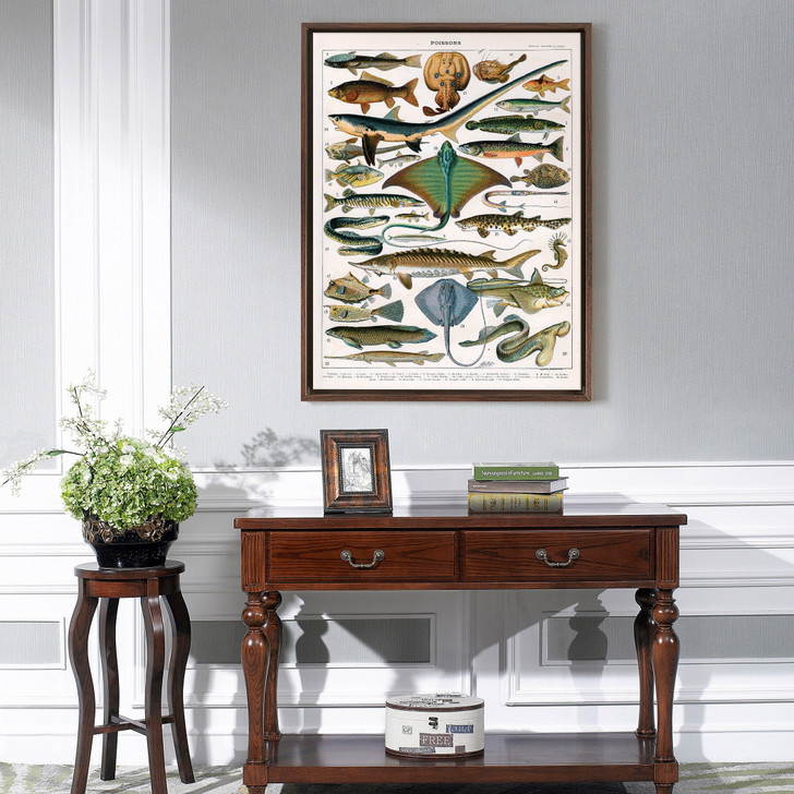 Alillot,Illustration of Ocean Fish,large wall art,framed wall art,canvas wall art,large canvas,M5279