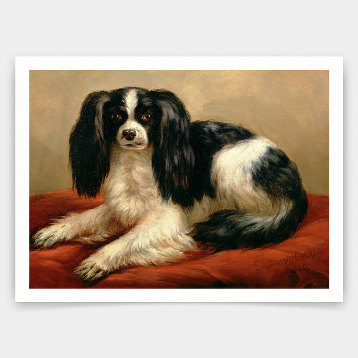 Eugene Joseph Verboeckhoven,A King Charles Spaniel Seated on a Red Cushion,art prints,Vintage art,canvas wall art,famous art prints,V3684