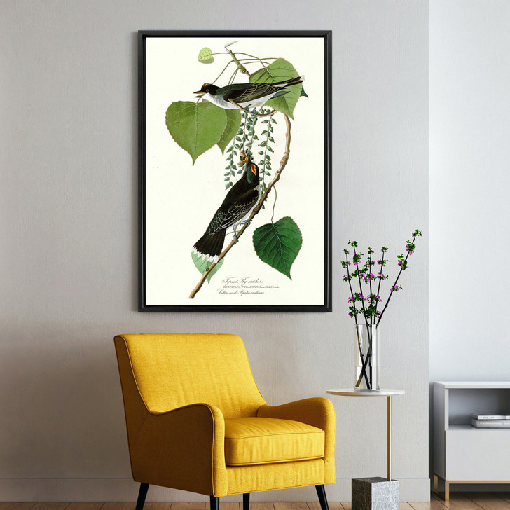 John James Audubon, Tyrant Fly catcher,The Birds of America,canvas print,canvas art,canvas wall art,large wall art,framed wall art,p2486