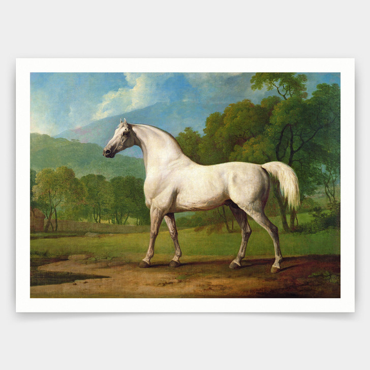George Stubbs,Mambrino，Horse wall art, white horse,art prints,Vintage art,canvas wall art,famous art prints,V3894