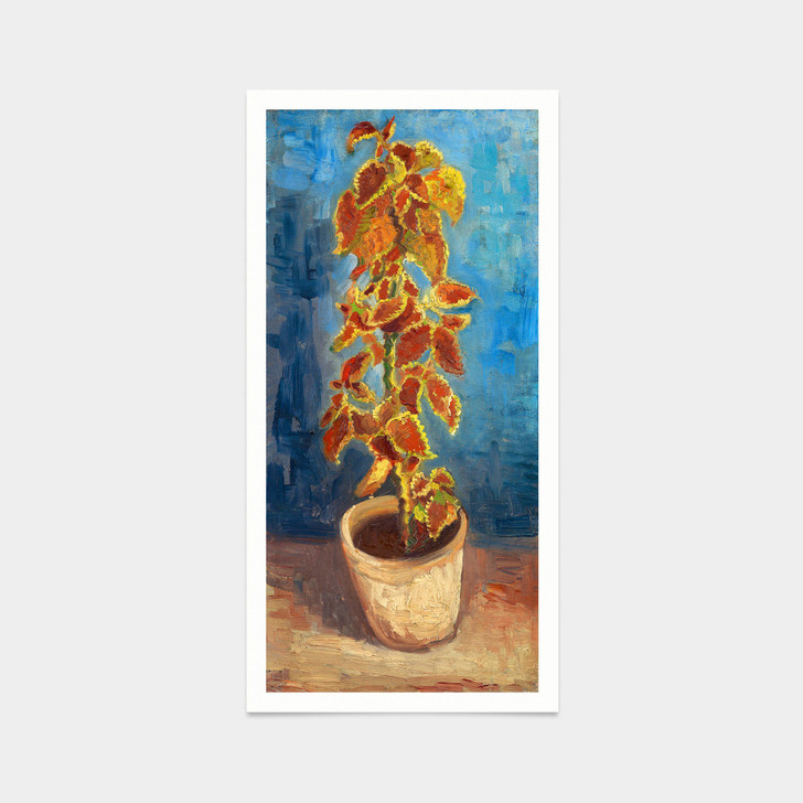 Vincent van Gogh,Flame Nettle in a Flowerpot,art prints,Vintage art,canvas wall art,famous art prints,vertical narrow prints,V7558