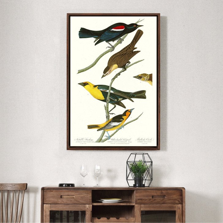 John James Audubon,Nuttall's Starling,Yellow headed Troopial,The Birds of America,canvas print,canvas art,canvas wall art,large art,p2393