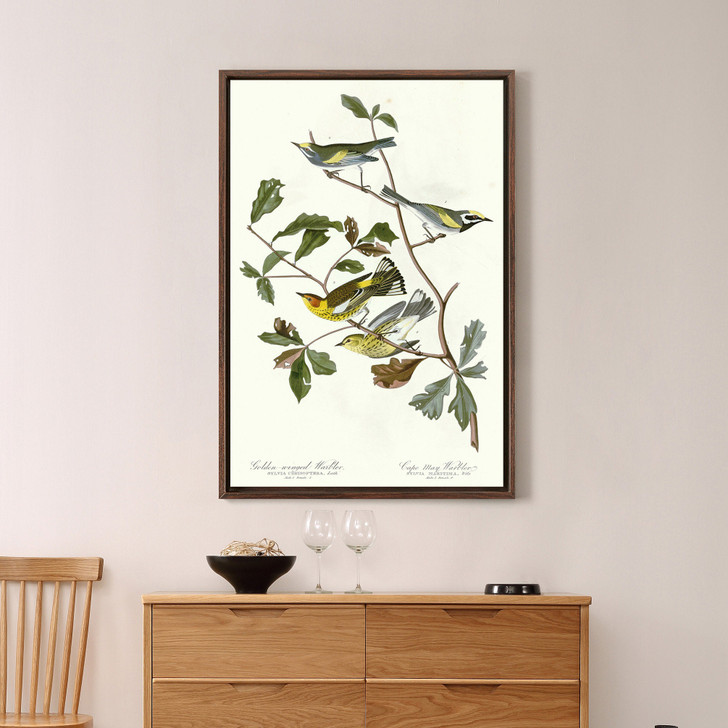 John James Audubon,Golden winged Warbler,Cape May Warbler,The Birds of America,canvas print,canvas art,canvas wall art,large wall art,p2382