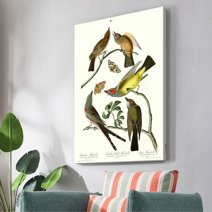John James Audubon,I Arkansaw Flycatcher,The Birds of America,canvas print,canvas art,canvas wall art,large wall art,framed wall art,p2371