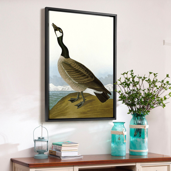 30x20John James Audubon, Hutchins's Barnacle Goose,The Birds of America,canvas print,canvas art,canvas wall art,large wall art,framed,p2370