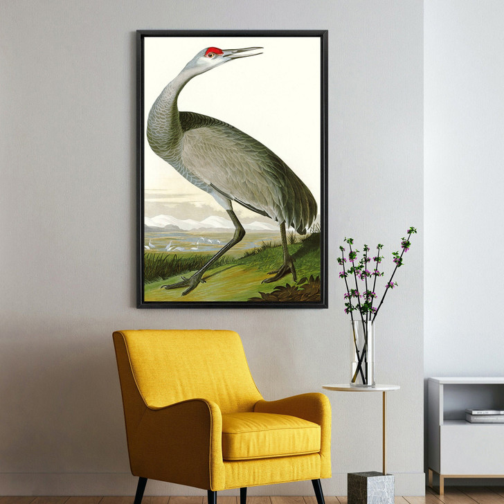 John James Audubon, Hooping Crane,The Birds of America,canvas print,canvas art,canvas wall art,large wall art,framed wall art,p2368