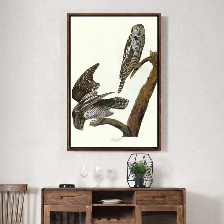 John James Audubon, Hawk Owl,The Birds of America,canvas print,canvas art,canvas wall art,large wall art,framed wall art,p2362