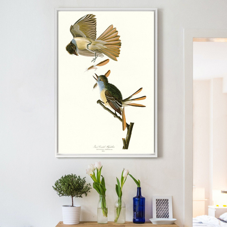 John James Audubon,Great Crested Flycatcher,The Birds of America,canvas print,canvas art,canvas wall art,large wall art,framed art,p2357