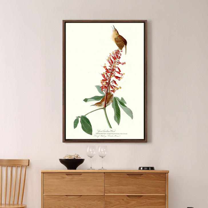 John James Audubon, Great Carolina Wren,The Birds of America,canvas print,canvas art,canvas wall art,large wall art,framed wall art,p2355