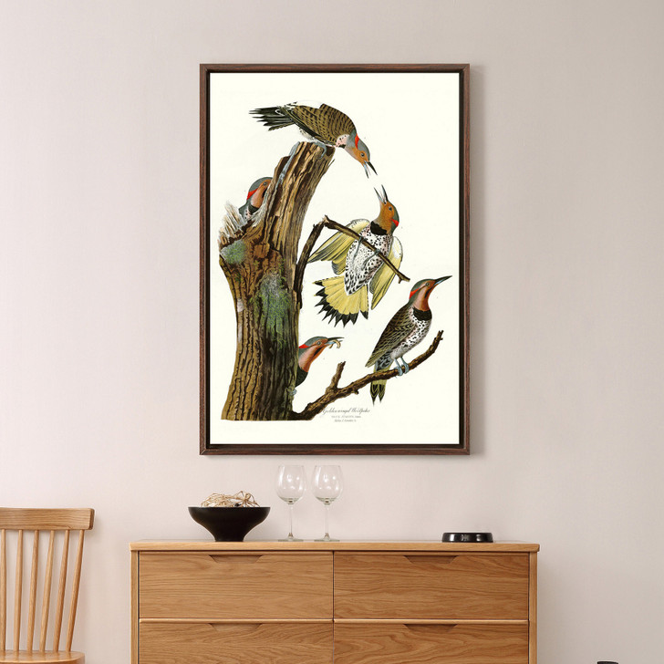 John James Audubon, Golden winged Woodpecker,The Birds of America,canvas print,canvas art,canvas wall art,large wall art,framed art,p2348