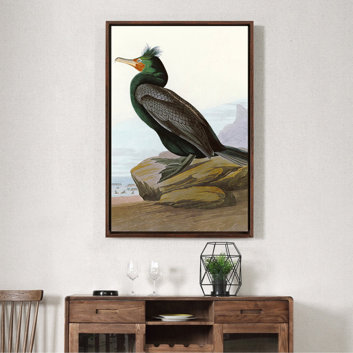John James Audubon, Double crested Cormorant,The Birds of America,canvas print,canvas art,canvas wall art,large wall art,framed art,p2338