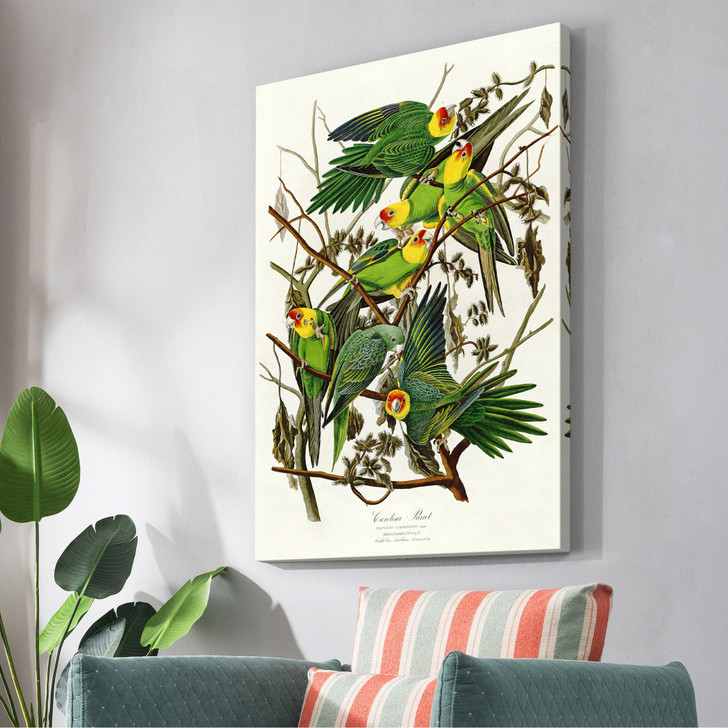 John James Audubon, Carolina Parrot,The Birds of America,canvas print,canvas art,canvas wall art,large wall art,framed wall art,p2324