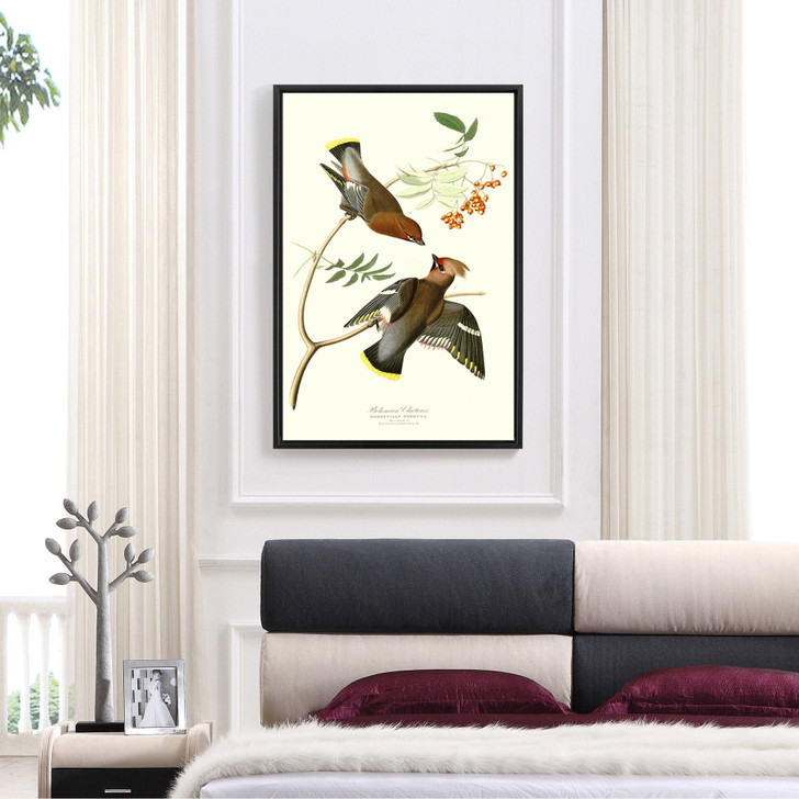 John James Audubon, Bohemian Chatterer,The Birds of America,canvas print,canvas art,canvas wall art,large wall art,framed wall art,p2309