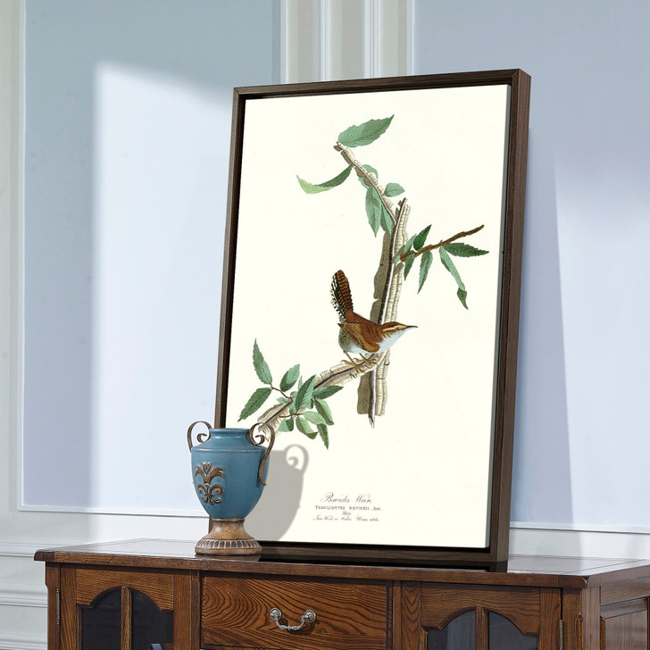 John James Audubon, Bewick's Wren,The Birds of America,canvas print,canvas art,canvas wall art,large wall art,framed wall art,p2285